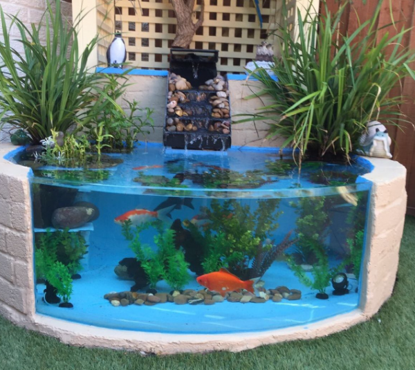 Aquarium outdoor dengan bentuk lingkaran yang mengelilingi patio